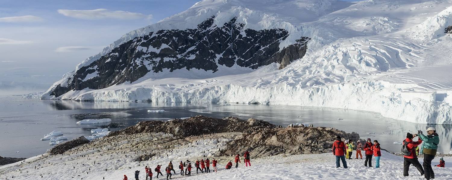 antarktis-reisen-wandern-schneelandschaft-albatros-expeditions