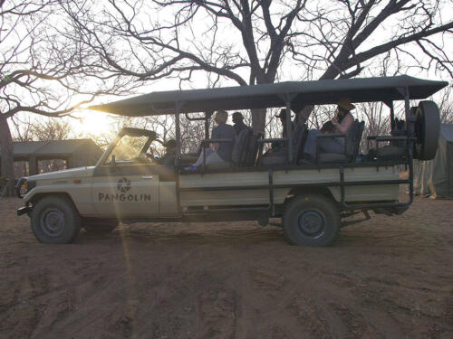 Safari im Chobe